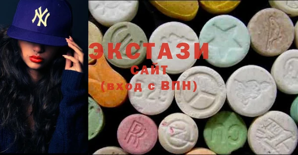 ECSTASY Богородицк